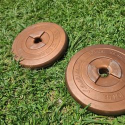 Pair 10lbs Weight Plates 