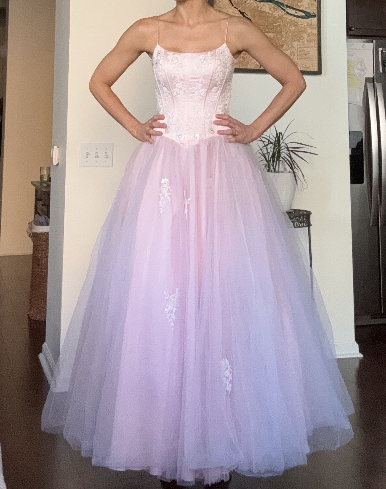Lillie Ruben Event Dress-Size 4 