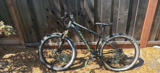 Cannondale Cujo
