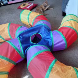 Cat Tunnel 