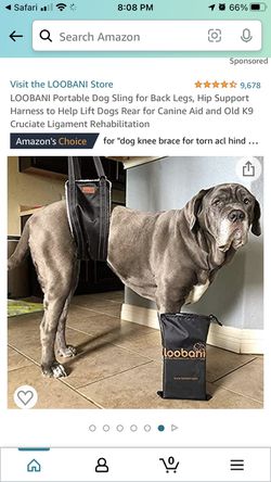 LOOBANI Portable Dog Sling for Back Legs Size M Thumbnail