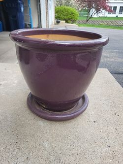Purple Planter