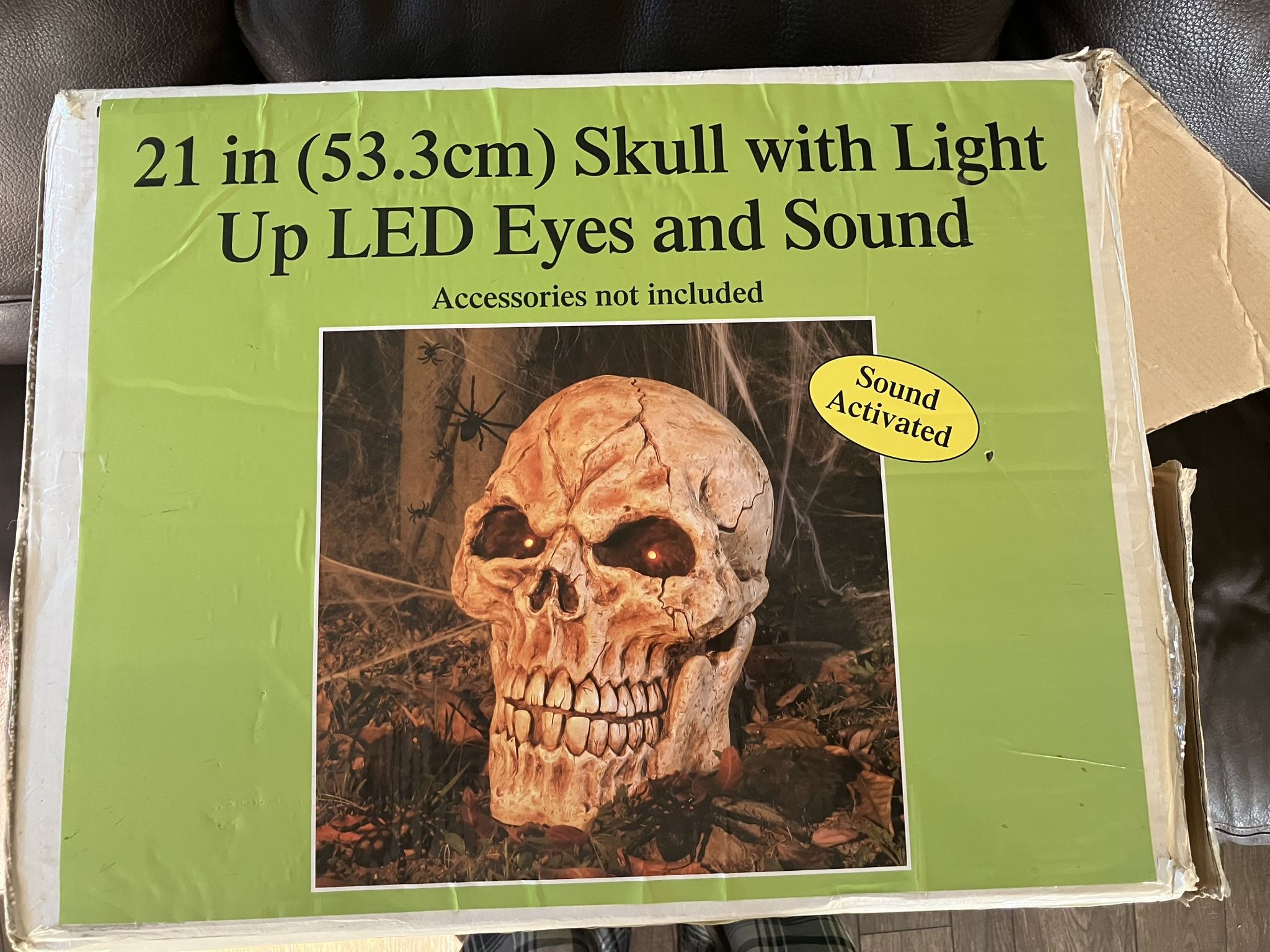 Halloween Giant 21” Skull LED Eyes Huge Compared To 12ft Skeleton Skull