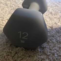 Single 12 Pound Dumbbell