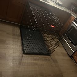 X-Large dog cage Ava now