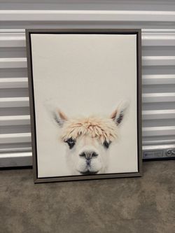 Framed Alpaca Canvas Wall Art