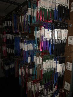 Leash and collars