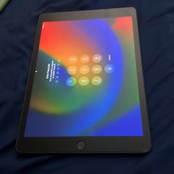 iPad 9th Gen 256gb