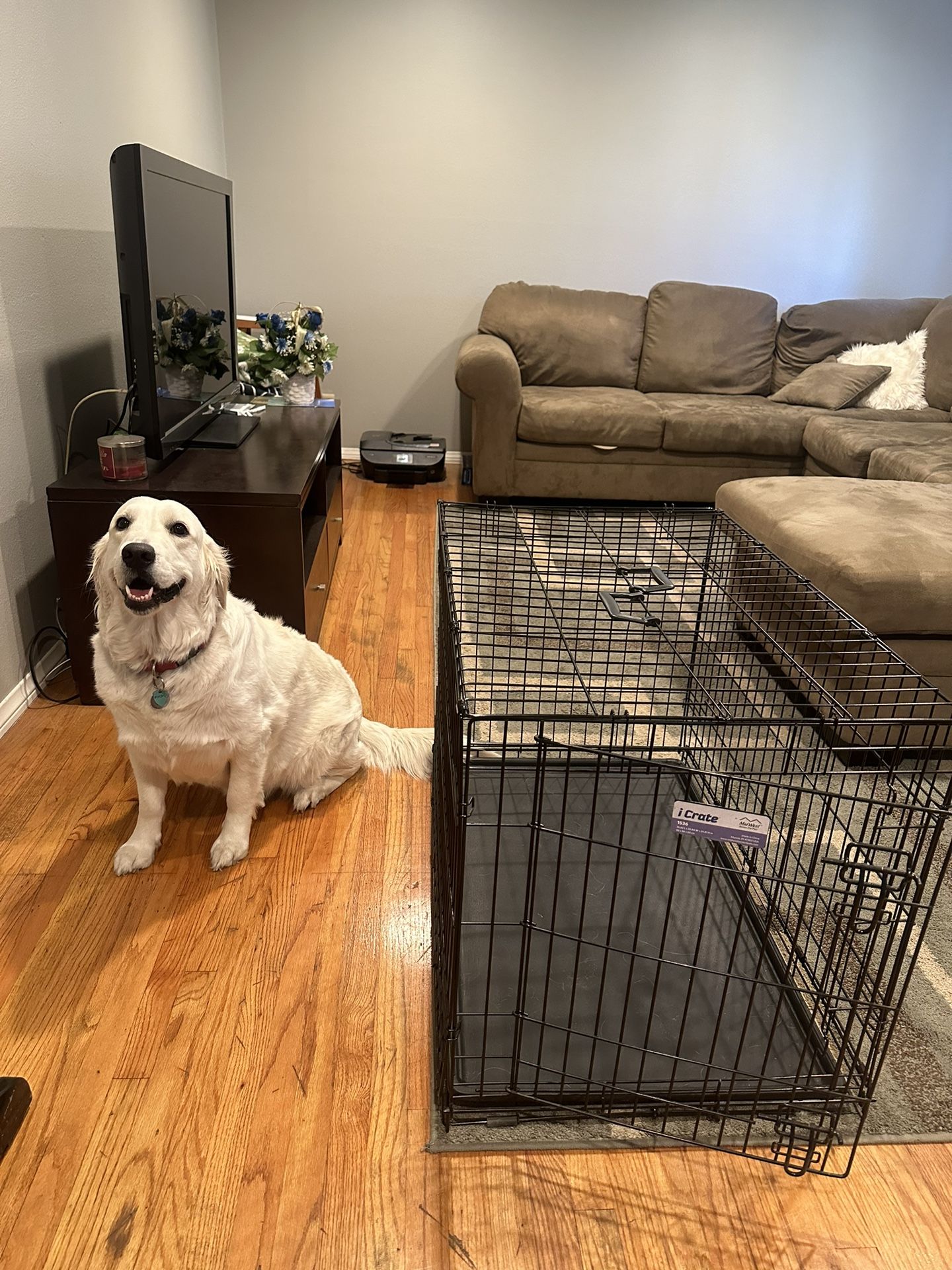 Dog Crate For Large Dog