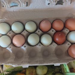 Eggs