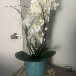 Orchid (Artificial)