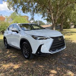 2025 Lexus NX 350