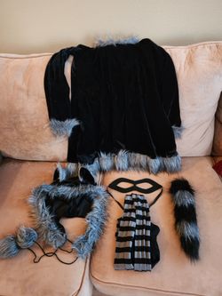 Girls Racoon Halloween Costume, Size Large (12 to 14)