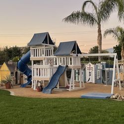 Congo Monkey Vinyl Playground/Swingset 