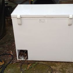 White Small Freezer. 
