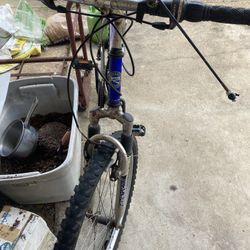 Men 10 Speed Bike With Rear Seat