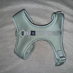 Pet Harness
