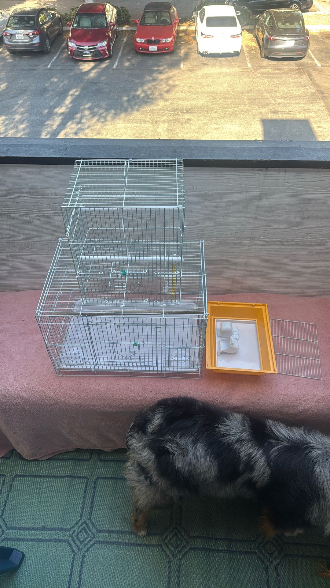 Bird Cage