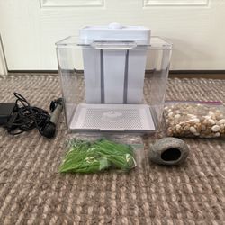Fish Tank (1 Gallon)