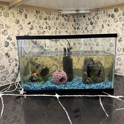 10 Gallon fish tank
