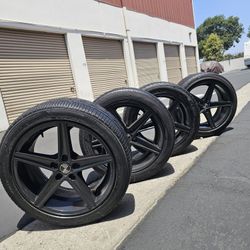 Rines 18 5 Hollos 