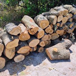 Free Oak Firewood 