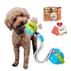 Tug of War Dog Toy, Suction Cup Dog Chew Toy, Multifunction Interactive Puppy Rope Toy with Ball,Tugging and Teeth Cleaning, Puzzle Training for Aggre