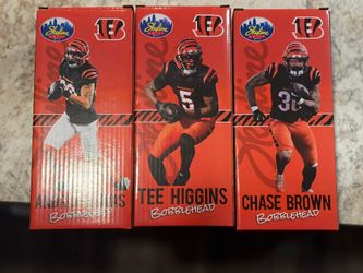 Bengals Bobble Heads