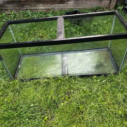 Reptile tanks