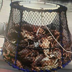   Large Crab Pots    20.00 / Each
