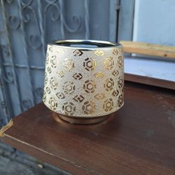 CHAMPAGE GOLD Electroplated Bowl 