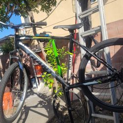 Giant Roam Mountain Bike