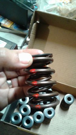 Sbc dual valve springs