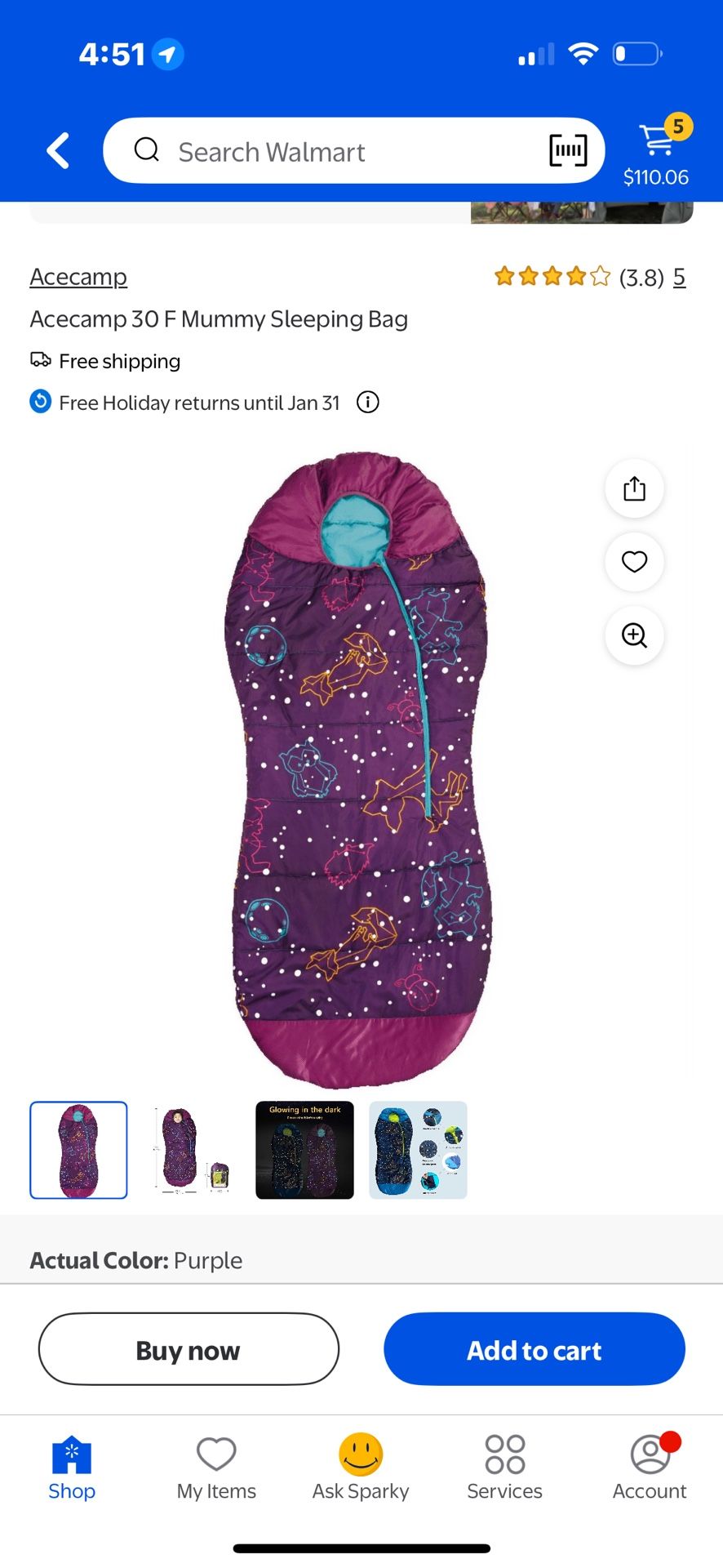 Kids Sleeping Bag (Never Used) $64.99 At Walmart