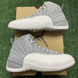 Jordan Stealth 12s  size 11 VNDS