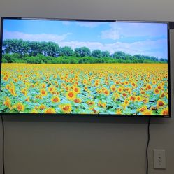 50 Inch Vizio Smart Tv