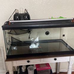 40 Gallon Tank 