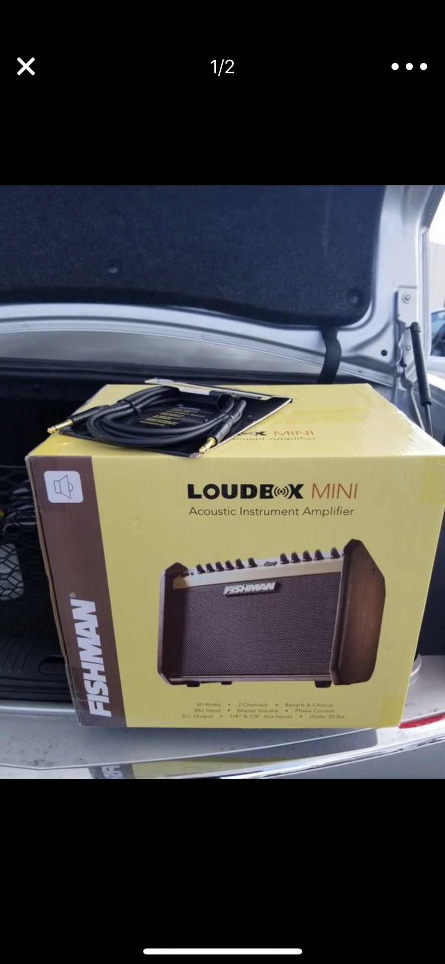 Fishamn loudbox mini acoustic instrument amplifier
