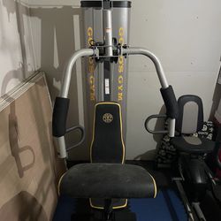 Golds Gym Home Workout Station