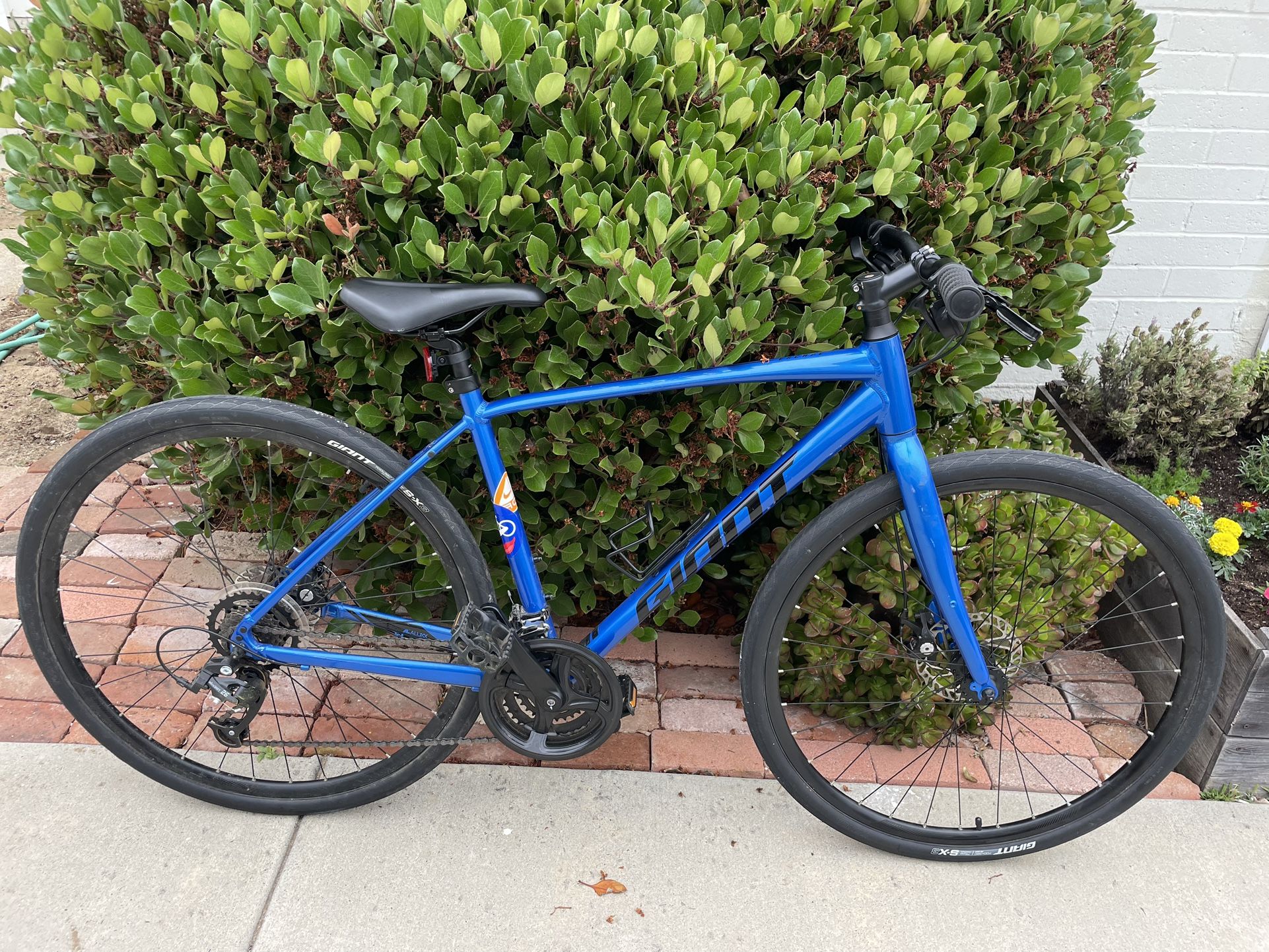 Giant Escape Bike