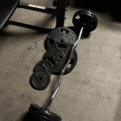 Weight Plates, Ez Curl Bar, Bench