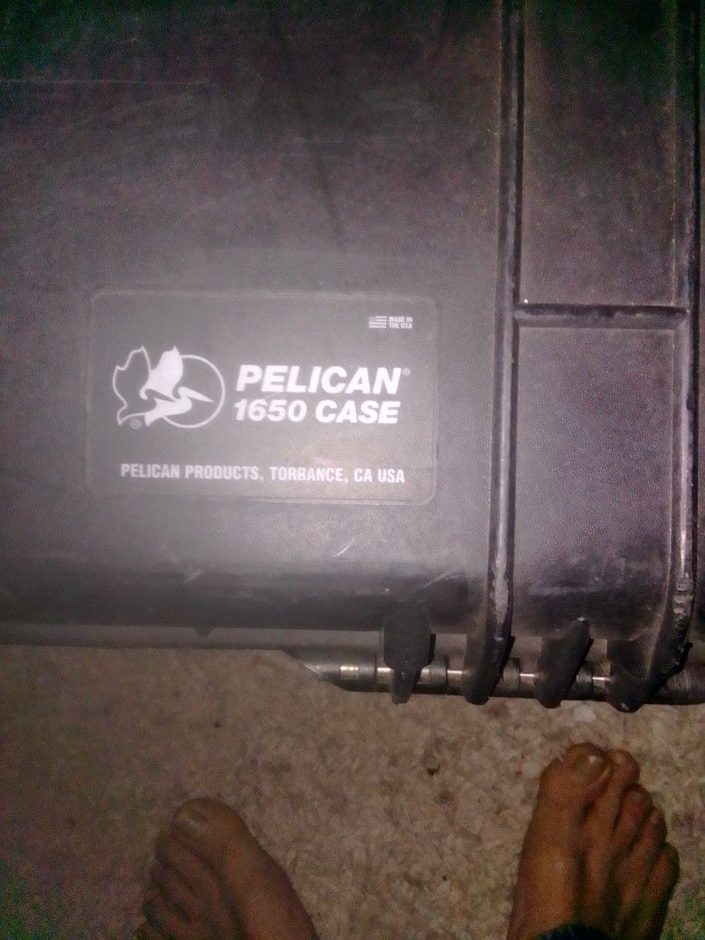 Pelican Storage Travel Case