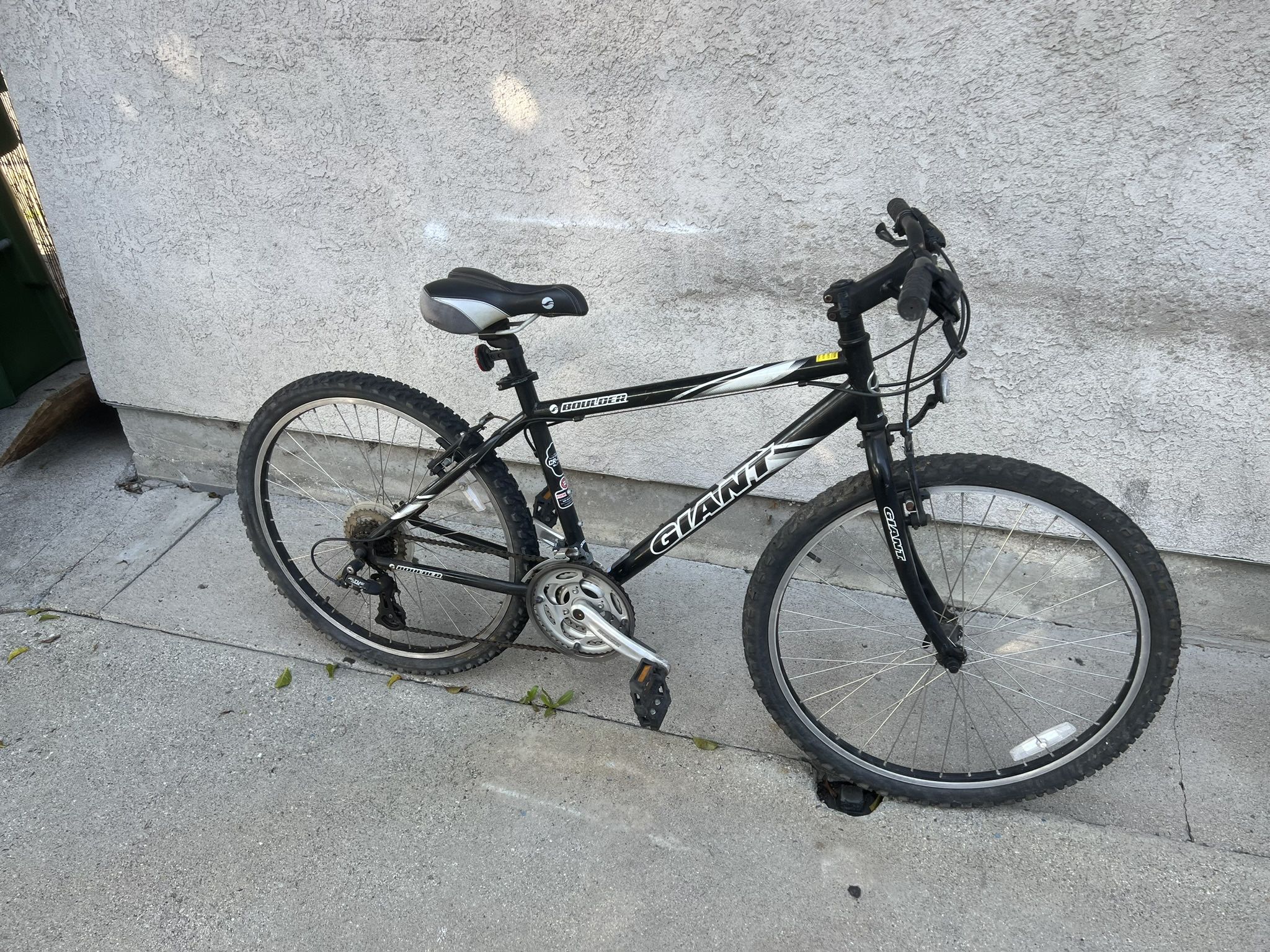 Giant Boulder Mountain Bike 