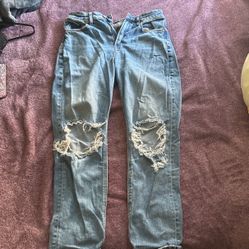 American Eagle 