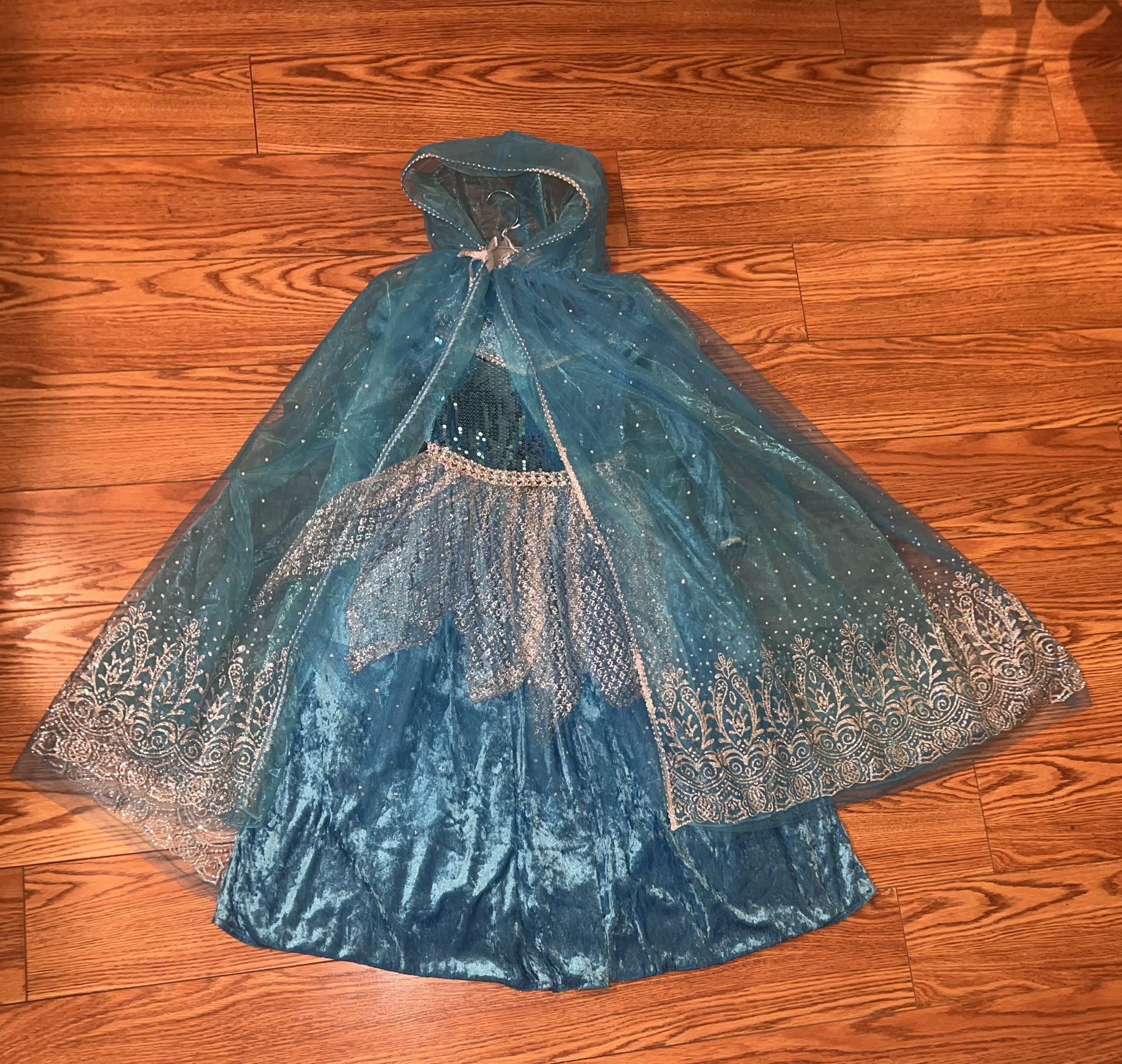 Frozen Themed Costume- Size: 5-6