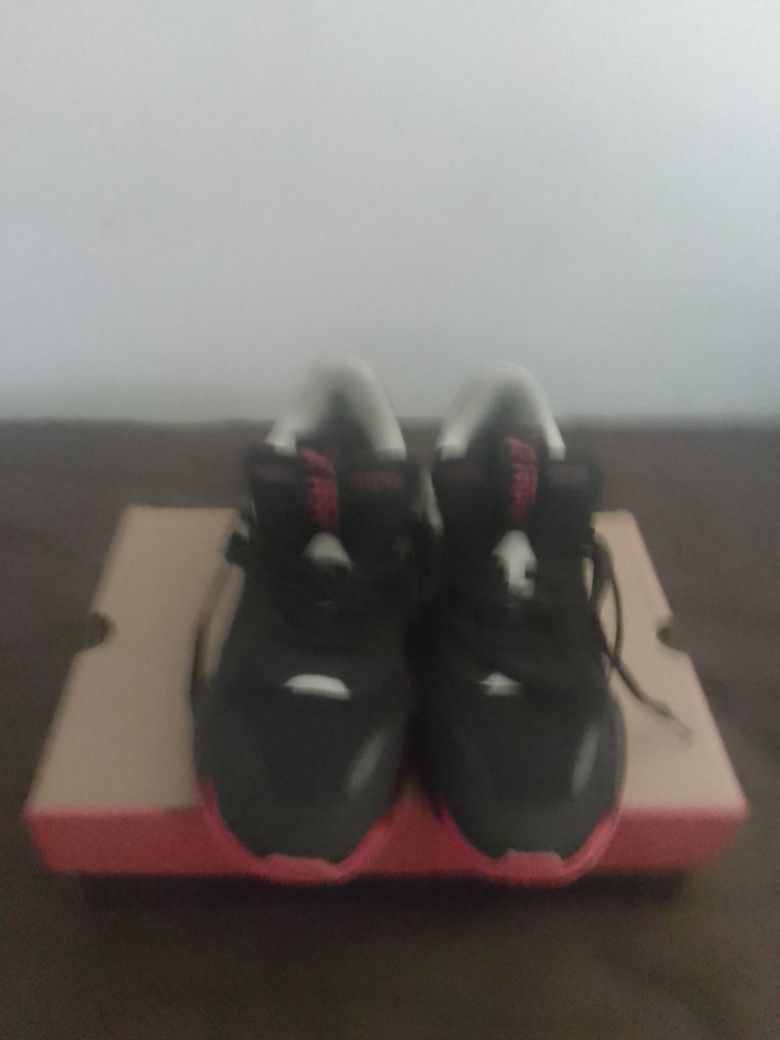 Pumas