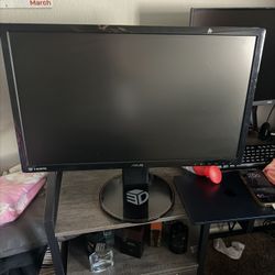 Asus Monitor 