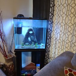 30 Gallon Tall Fish Tank With Stand for Sale in Long Beach, CA
