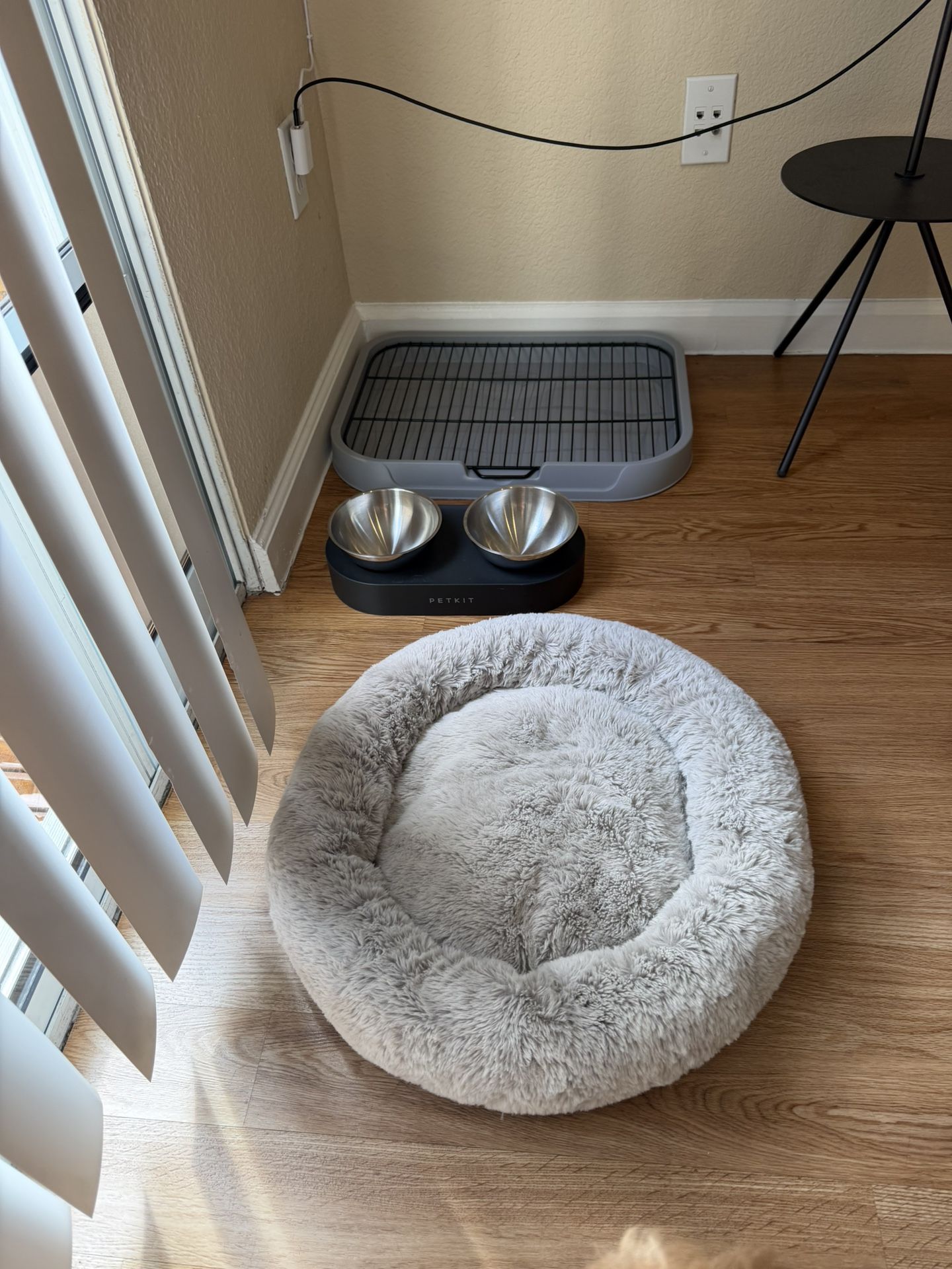 Puppy Bed, Food Bowl, Toilet Tray, Nail clipper