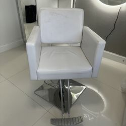 Hair Salon Chair 